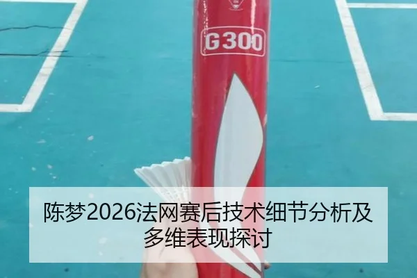 陈梦2026法网赛后技术细节分析及多维表现探讨