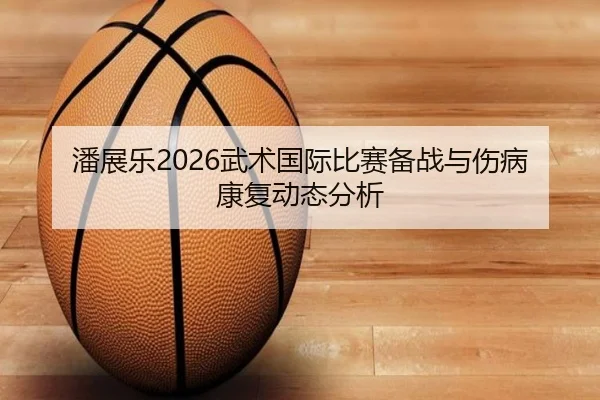 潘展乐2026武术国际比赛备战与伤病康复动态分析